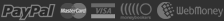 We accept PayPal, Webmoney, MoneyBookers