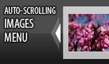 Auto-Scrolling images menu