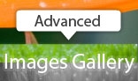 Fullscreen Advanced Images Gallery