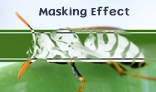 Move Mouse Maskign Effect 