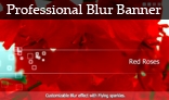 Professional Blur Banner