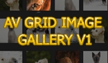 AV Grid Image Gallery V1