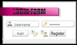 Wordpress Login form