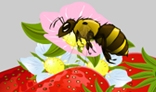 Bee Sucking flower