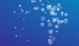 Swirl of snowflakes. Flash animation. 3Kb only. AS2.0