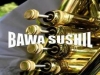 bawa sushil AUTHENTIC