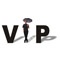 VIPDesignUSA