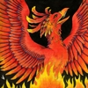 avatar fireberd904