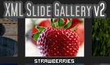 XML Slide Gallery v2 with Background Music