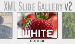 XML Slide Gallery v2 with Background Music WHITE