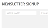 Newsletter Signup Form