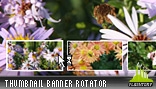 Thumbnail Banner Rotator 01
