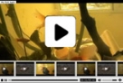 H.264/ .f4v Xml Video player V3