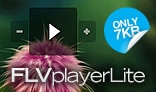 FLV player Lite