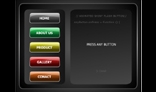 Flash Animated Shiny buttons