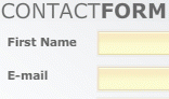 ASP Flash Contact Form