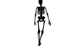 Skeleton Walking