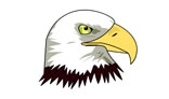 Eagle Vector Graphic