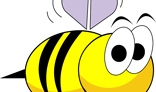 Funny bee