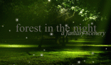 Forest in the night