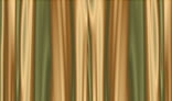 Gold Silk Curtains