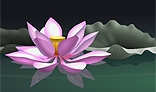 Lotus flower