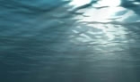 Under Blue Water Rasta Animation