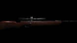 Bolt Action Rifle