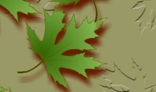 Background with moving leaves