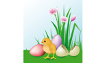 Newly Hatched Chick & easter eggs