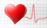 Heart and cardiogram