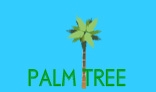 Palm Tree