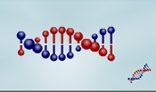 DNA chainlet