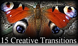 15 Creative Transitions