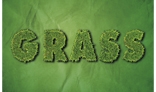 Grass text