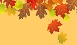 Beautiful autumn background