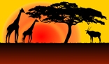 Animated Background with African fauna and flora