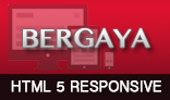 Bergaya - Responsive HTML Template For Any Business