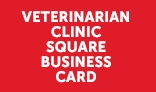 Veterinarian Clinic Square Business Card
