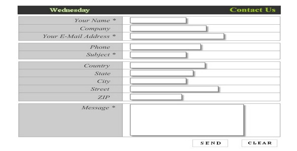 Professional Contact Form