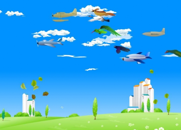Skies background with birds and planes.