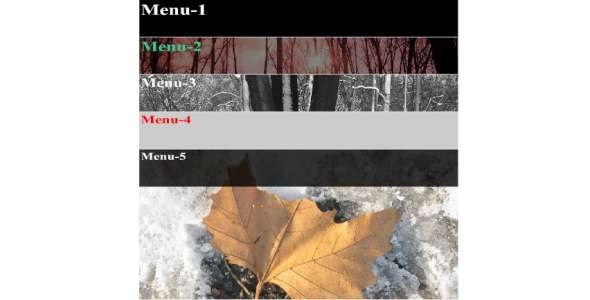 Vertical_XML_Accordion_Menu_a