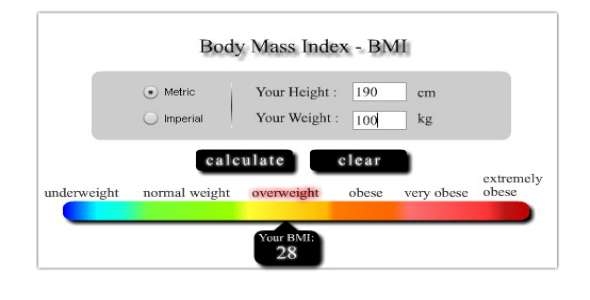Metric and Imperial BMI Calculator