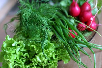 Vegetables for salad