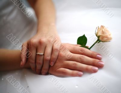 Hands of the bride