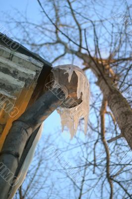 Icicles on a drainpipe