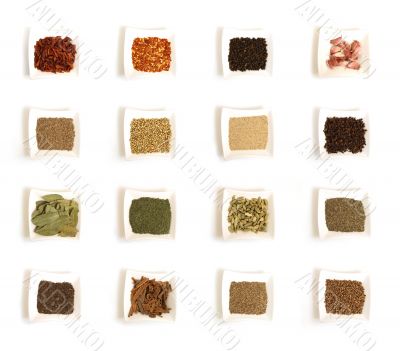 Various kinds of spices in white square bowl