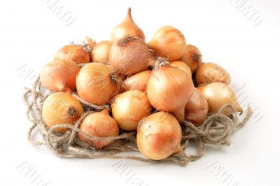 British baby onions on rope nest