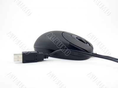 black optical mouse