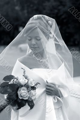 Beautiful bride
